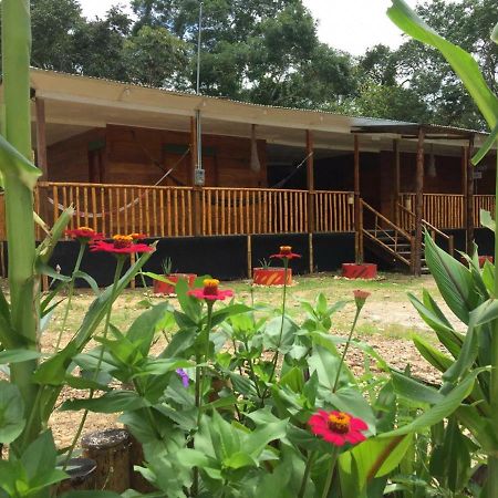Hostal Cano Nevera La Macarena Kültér fotó