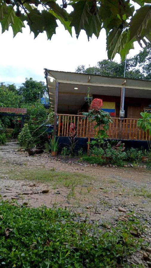 Hostal Cano Nevera La Macarena Kültér fotó